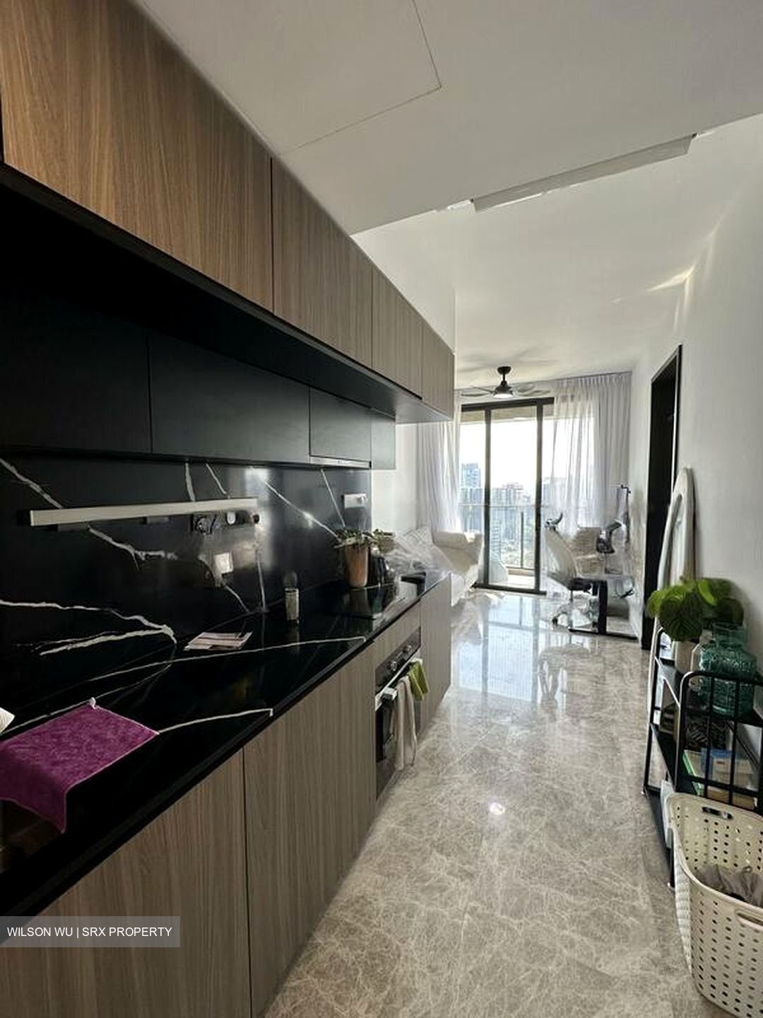 Irwell Hill Residences (D9), Apartment #455791671